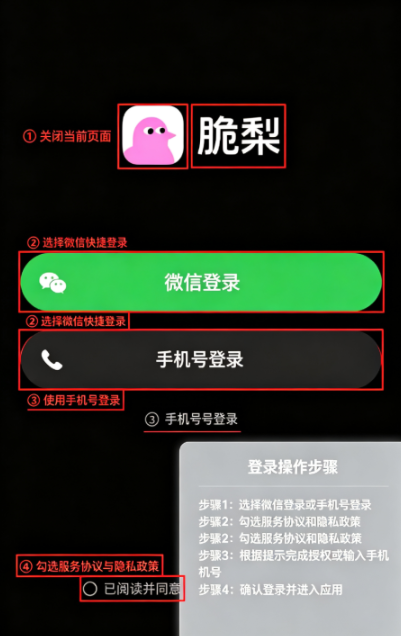 ����app2026���°�����