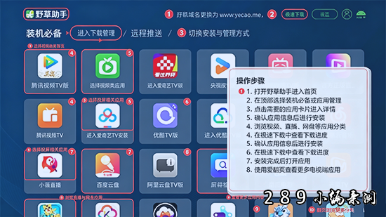 野草小海贝版app下载 野草小海贝版app下载