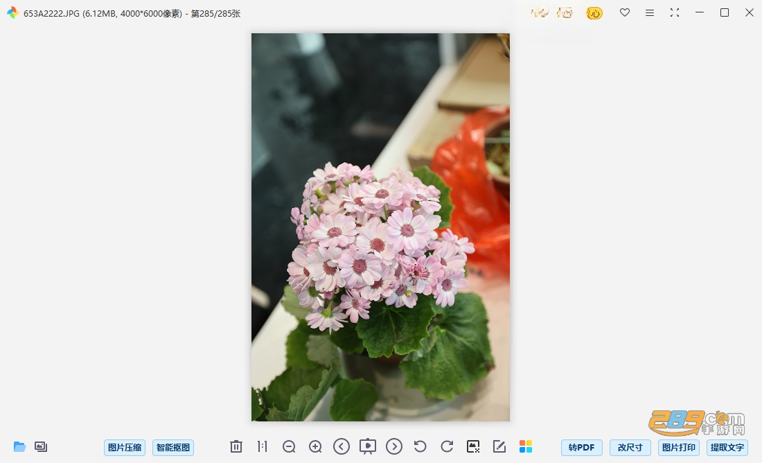 可牛看图官方下载电脑版 可牛看图官方下载电脑版