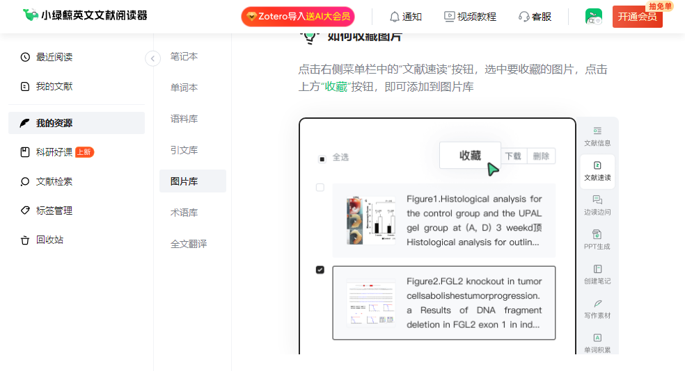 小绿鲸电脑版下载 小绿鲸电脑版下载