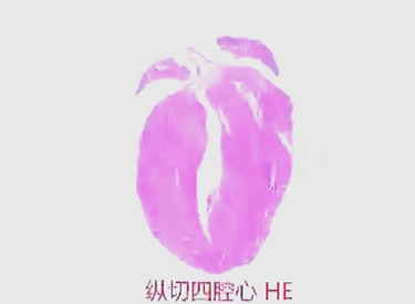 关键词必须包含