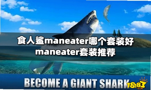 关键词必须包含 食人鲨Maneater新手入门,文字可概括整篇文章全部内容,用于搜索配图
