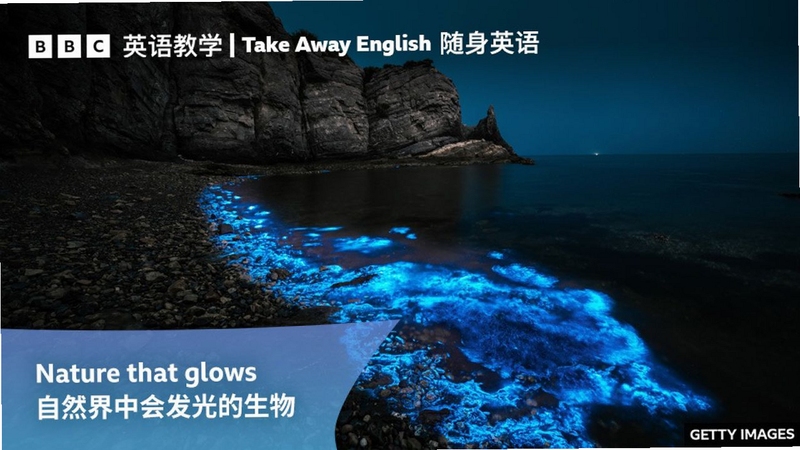 关键词必须包含 {会发光的缕Will Glow the Wisp 新手入门},文字可概括整篇文章全部内容,用于搜索配图