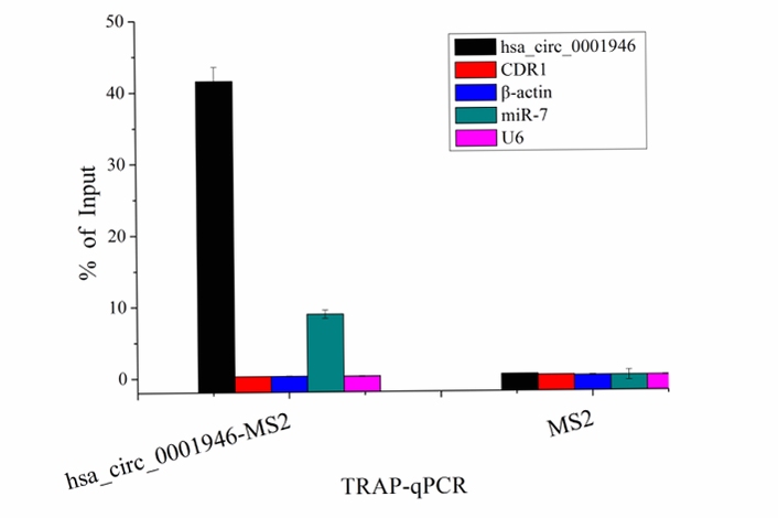 陷阱实验室Trap Labs新手入门,文字可概括整篇文章全部内容,用于搜索配图