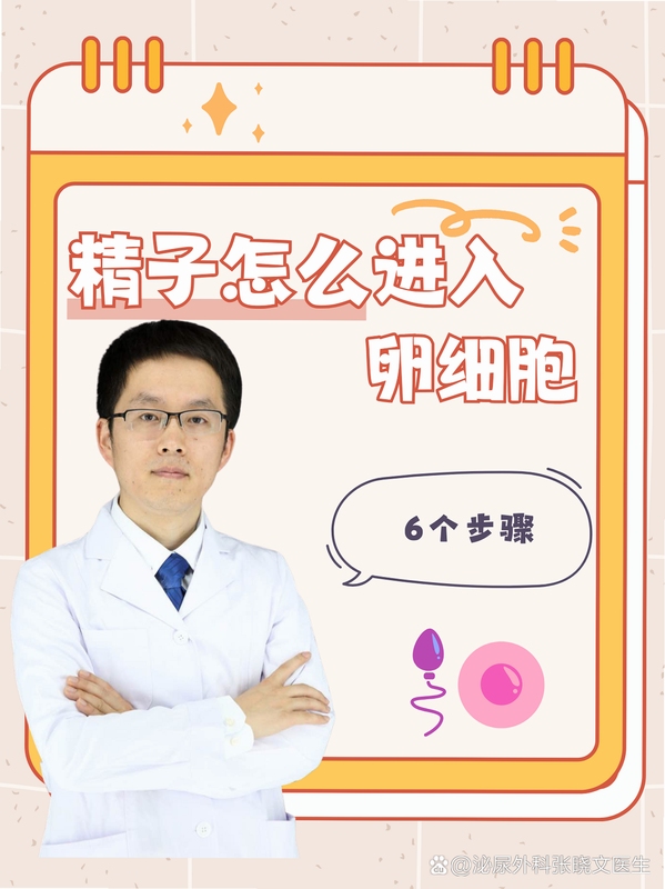 ����ʷ�ٷ�Steven the Sperm ����˵�� ���԰�