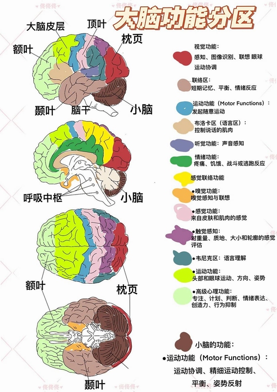关键词必须包含 {大脑43度按键操作},文字可概括整篇文章全部内容,用于搜索配图