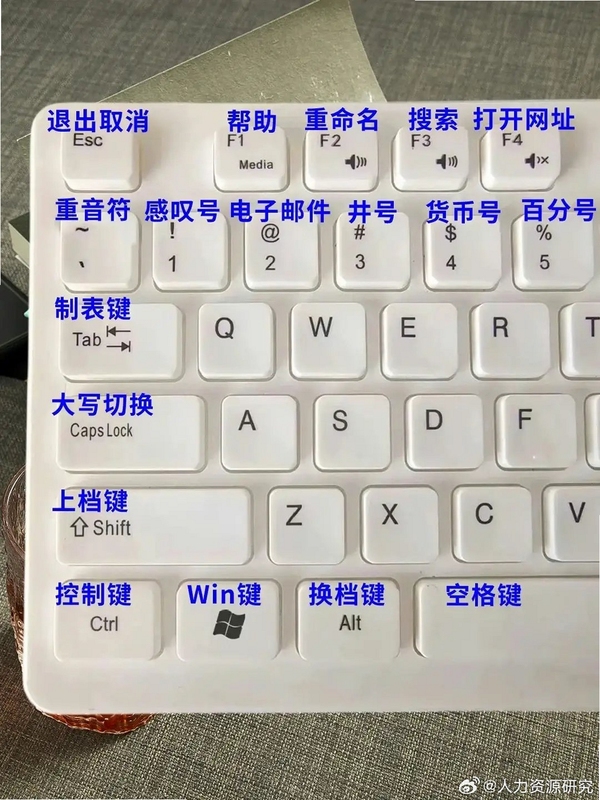 关键词必须包含 {SNAKE FORCE 按键说明},文字可概括整篇文章全部内容,用于搜索配图