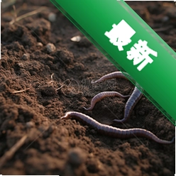 ���Earthworms3.0 ���İ�