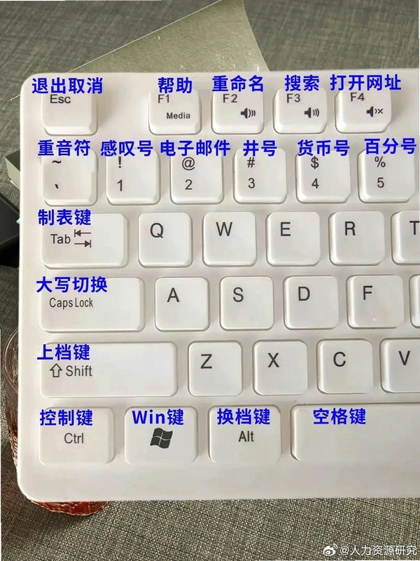 关键词必须包含 篡位者电脑版按键说明,文字可概括整篇文章全部内容,用于搜索配图