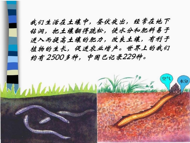 �ؼ��ʱ������ ���Earthworms����˵�������ֿɸ������Earthworms���а����������书�ܣ��������ֿ������տ���