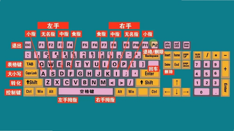 关键词必须包含 Nimbatus电脑版按键,文字可概括整篇文章全部内容,用于搜索配图