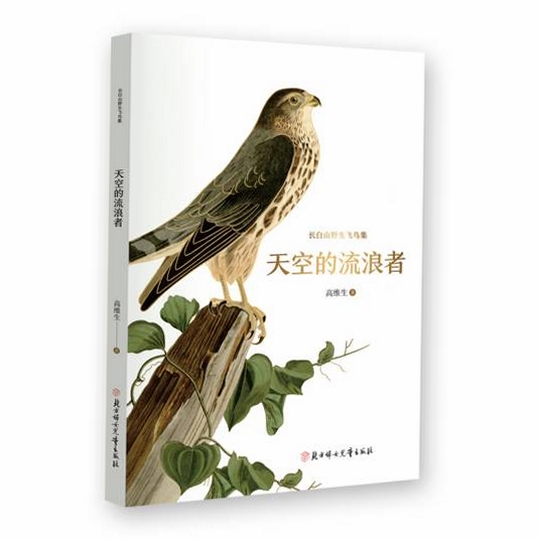 关键词必须包含 天空流浪者电脑版,文字可概括整篇文章全部内容,用于搜索配图