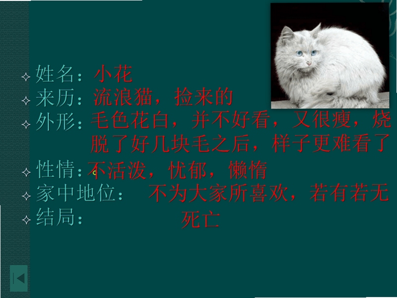 关键词必须包含 {玛吉猫 按键说明},文字可概括整篇文章全部内容,用于搜索配图