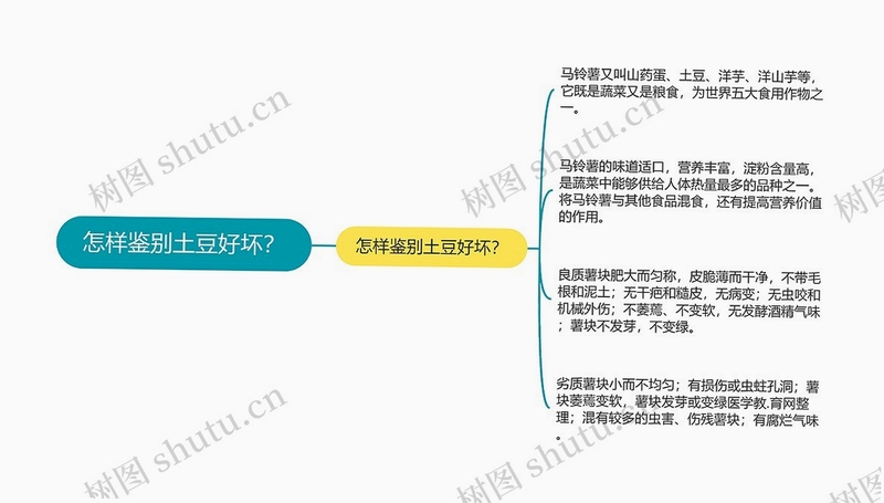 关键词必须包含 土豆别搞事电脑版,文字可概括整篇文章全部内容,用于搜索配图