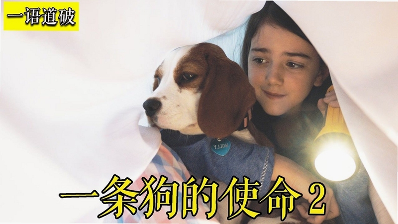 关键词必须包含 狗的使命Dog Duty电脑版新手攻略,文字可概括整篇文章全部内容,用于搜索配图