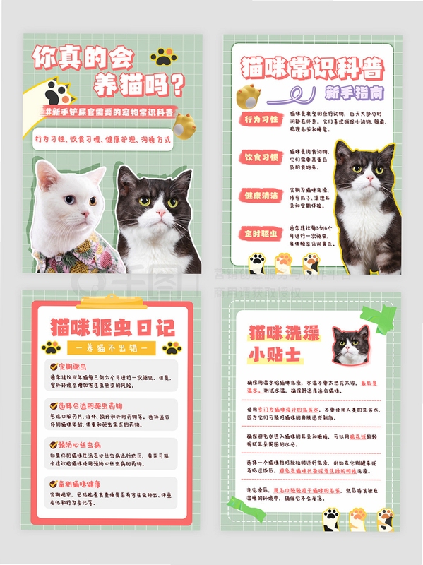 关键词必须包含 宠物怪兽,文字可概括整篇文章全部内容,用于搜索配图