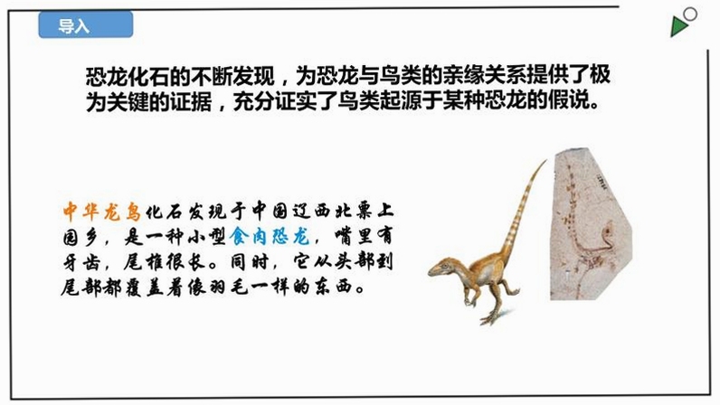 关键词必须包含 化石回声 按键说明,文字可概括整篇文章全部内容,用于搜索配图