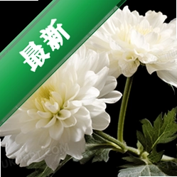 ��ɫ�ջ�1.0.0.2026 �����ֽ
