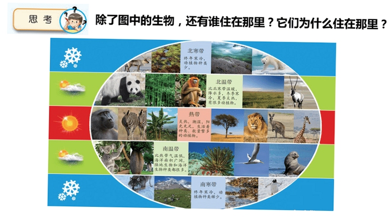 关键词必须包含 栖息地新手入门,文字可概括整篇文章全部内容,用于搜索配图