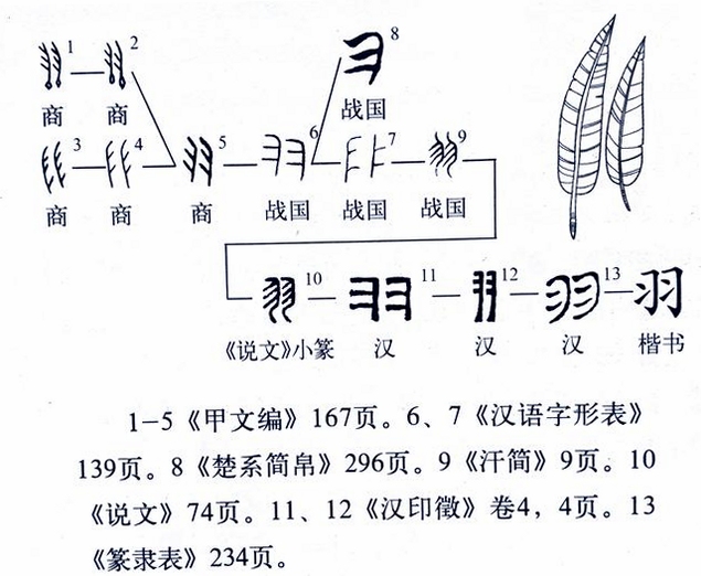 关键词必须包含 {鸟爪与鸟羽2 按键说明},文字可概括整篇文章全部内容,用于搜索配图