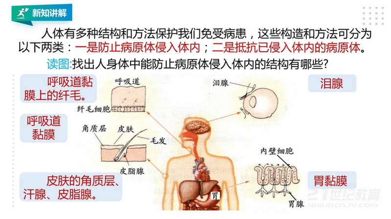关键词必须包含 {人体保卫战电脑版按键说明},文字可概括整篇文章全部内容,用于搜索配图