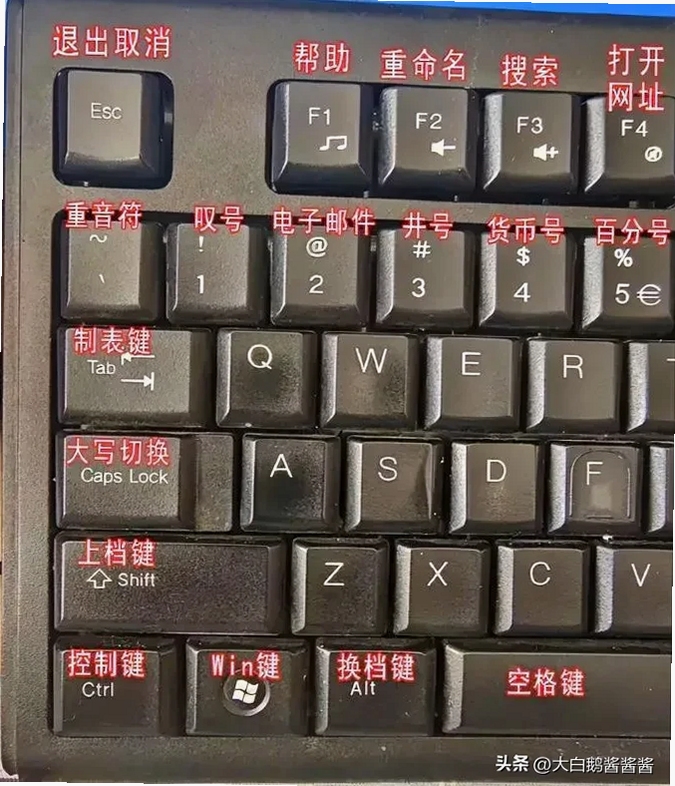 关键词必须包含 纪念大金刚电脑版按键说明,文字可概括整篇文章全部内容,用于搜索配图