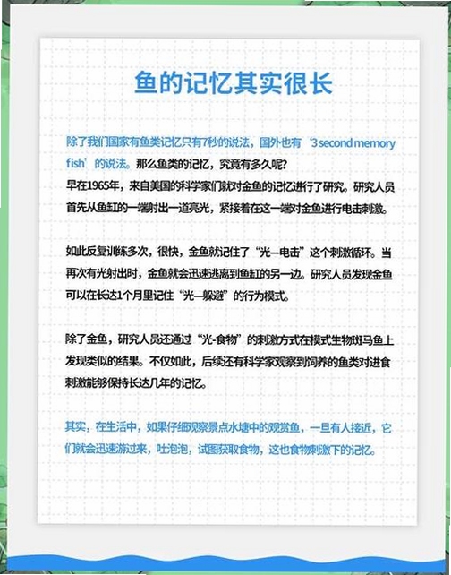 关键词必须包含 鱼之王国:时间深处新手攻略,文字可概括整篇文章全部内容,用于搜索配图