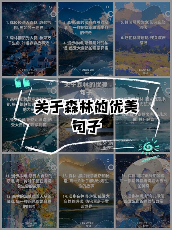 关键词必须包含 森林里的悠哉一天 新手入门,文字用于搜索配图