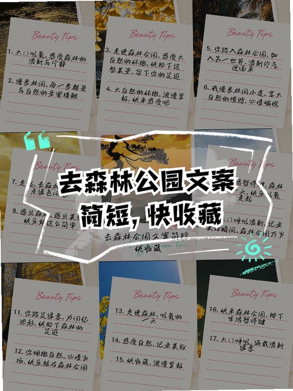 关键词必须包含 森林里的悠哉一天 按键说明,文字用于搜索配图