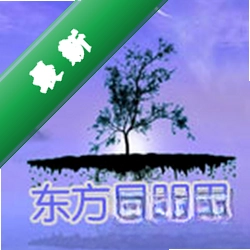 ����������1.0.2026 ���°�