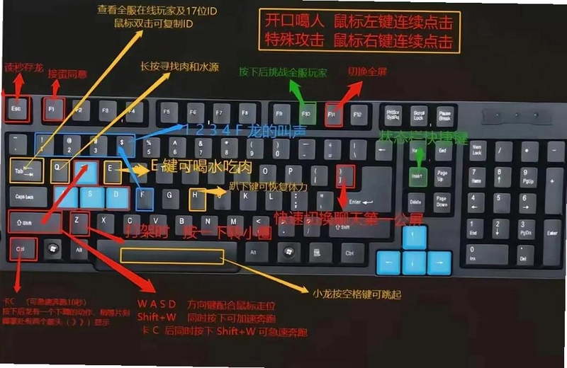2048变体版按键设置与操作指南图