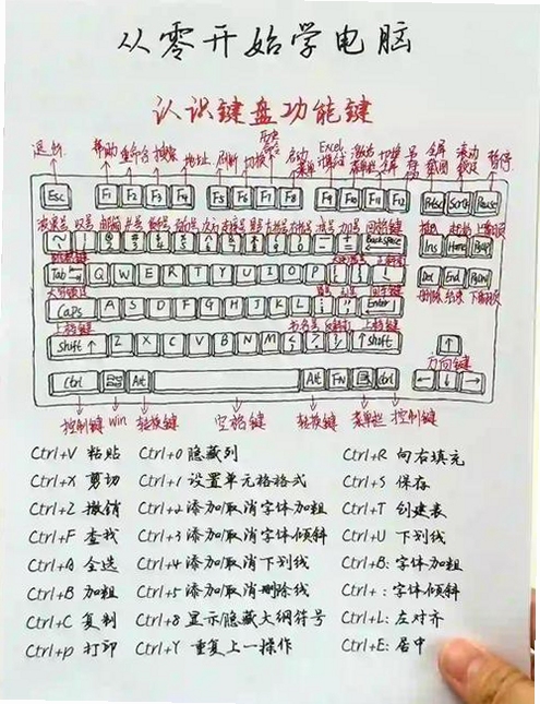 关键词必须包含 {大卫电脑版按键说明},文字可概括整篇文章全部内容,用于搜索配图