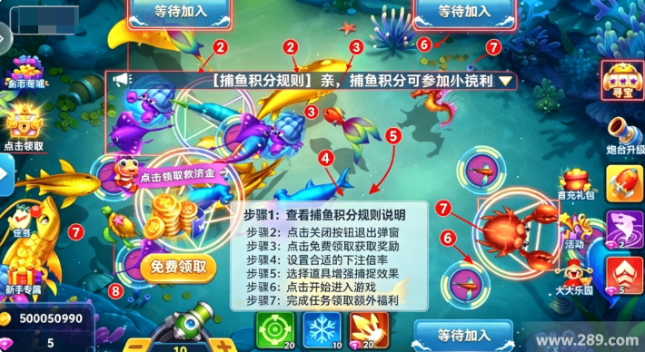 �����첶���������