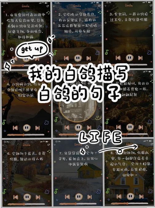 关键词必须包含 {奇思妙想两只鸽子新手攻略},文字可概括整篇文章全部内容,用于搜索配图