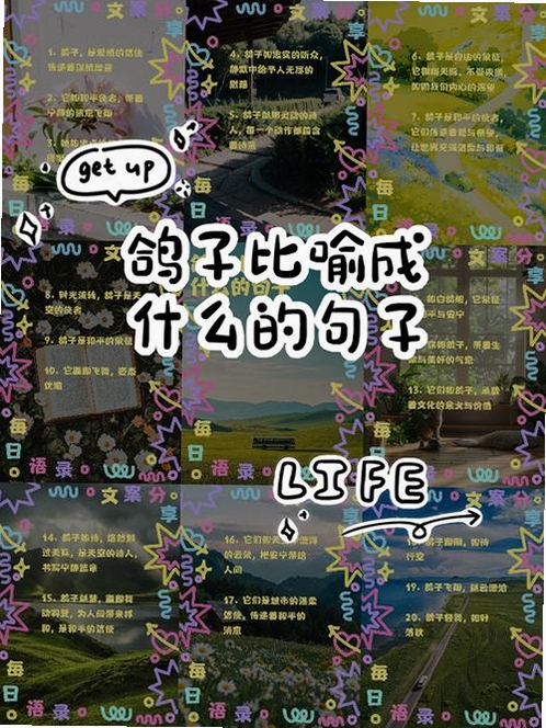 关键词必须包含 {奇思妙想两只鸽子按键说明},文字可概括整篇文章全部内容,用于搜索配图