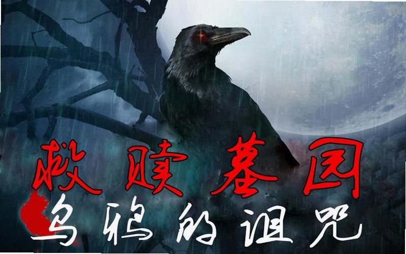 关键词必须包含 救赎墓园:乌鸦诅咒电脑版,文字可概括整篇文章全部内容,用于搜索配图