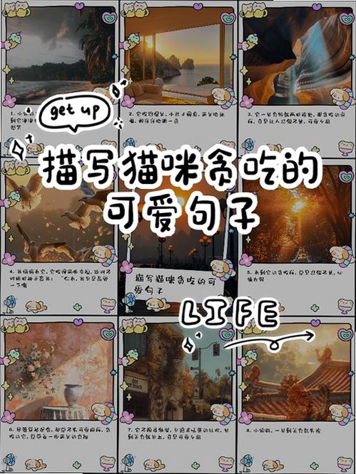 关键词必须包含 猫之觅食电脑版 新手攻略,文字可概括整篇文章全部内容,用于搜索配图