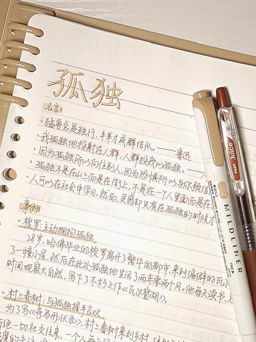 关键词必须包含 独自为伴新手入门,文字可概括整篇文章全部内容,用于搜索配图