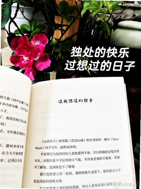 关键词必须包含 独自为伴核心乐趣,文字可概括整篇文章全部内容,用于搜索配图