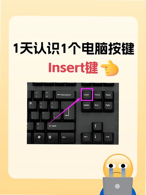 蒙提祖玛的诅咒电脑版按键说明 操作方法 新手教学