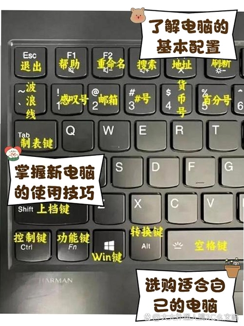 ������2���԰��������� ����˵�� ����