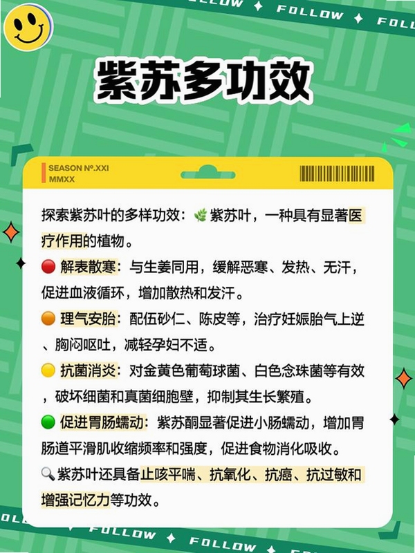 关键词必须包含 紫苏之叶电脑版按键说明,文字可概括整篇文章全部内容,用于搜索配图