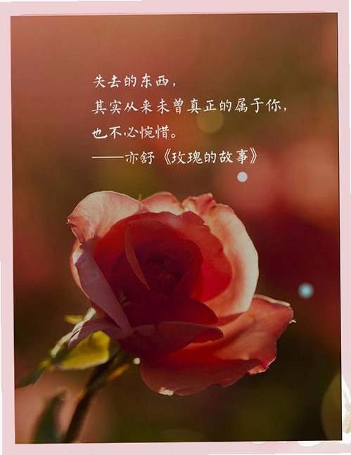 关键词必须包含 不朽之爱:玫瑰电脑版,文字可概括整篇文章全部内容,用于搜索配图