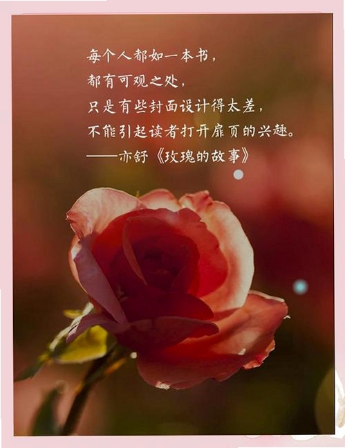 关键词必须包含 不朽之爱:玫瑰电脑版,文字可概括整篇文章全部内容,用于搜索配图