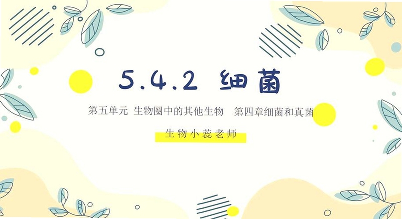 关键词必须包含 微生物的故事电脑版,文字可概括整篇文章全部内容,用于搜索配图
