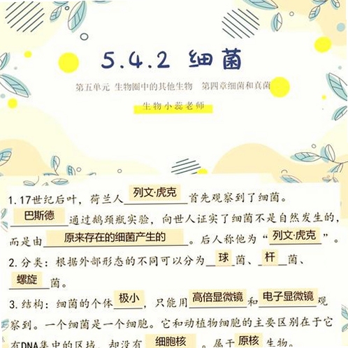 关键词必须包含 微生物的故事电脑版,文字可概括整篇文章全部内容,用于搜索配图