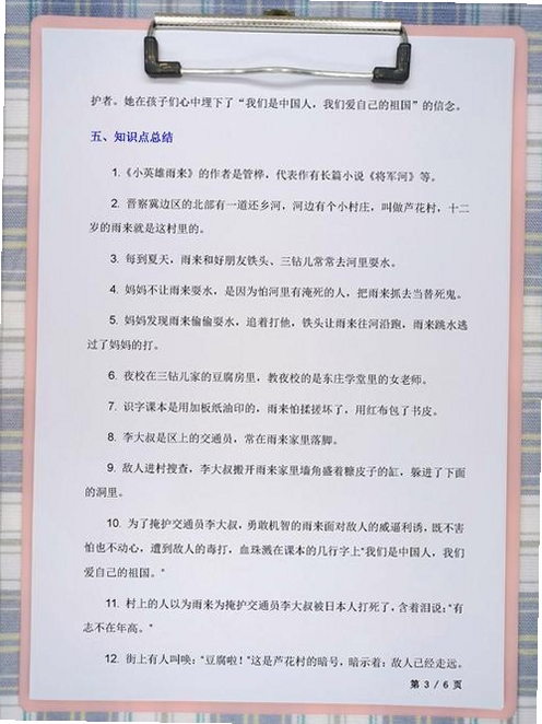 关键词必须包含 鱿鱼小英雄电脑版,文字可概括整篇文章全部内容,用于搜索配图