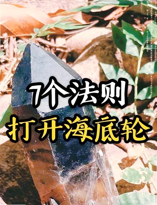 海底宝藏新手入门操作教学,关键词必须包含 {海底宝藏 新手操作}