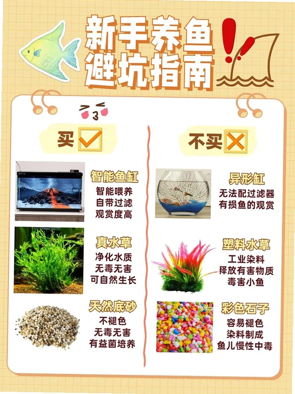 海底宝藏新手注意事项推荐理由,关键词必须包含 {海底宝藏 新手建议}