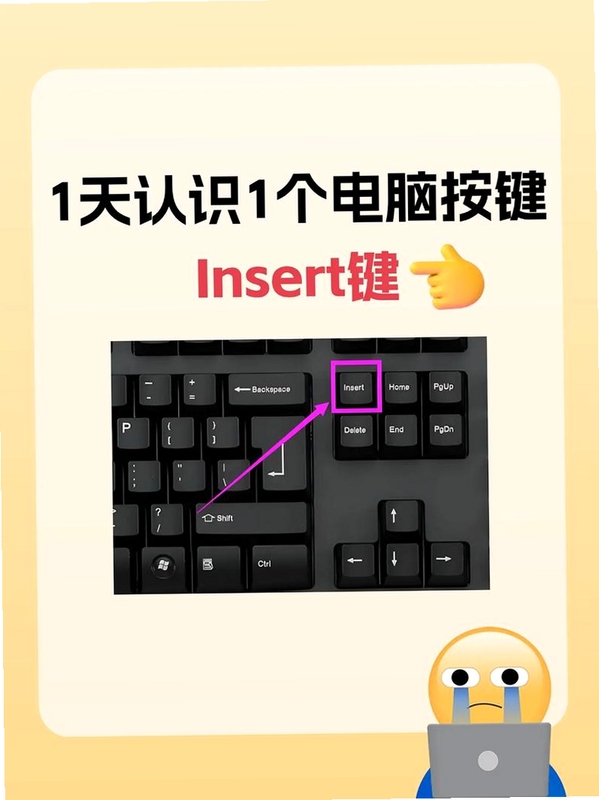 召唤之夜泪之皇冠电脑版键盘操作按键示意图,显示WASD移动和空格确认,用于搜索配图